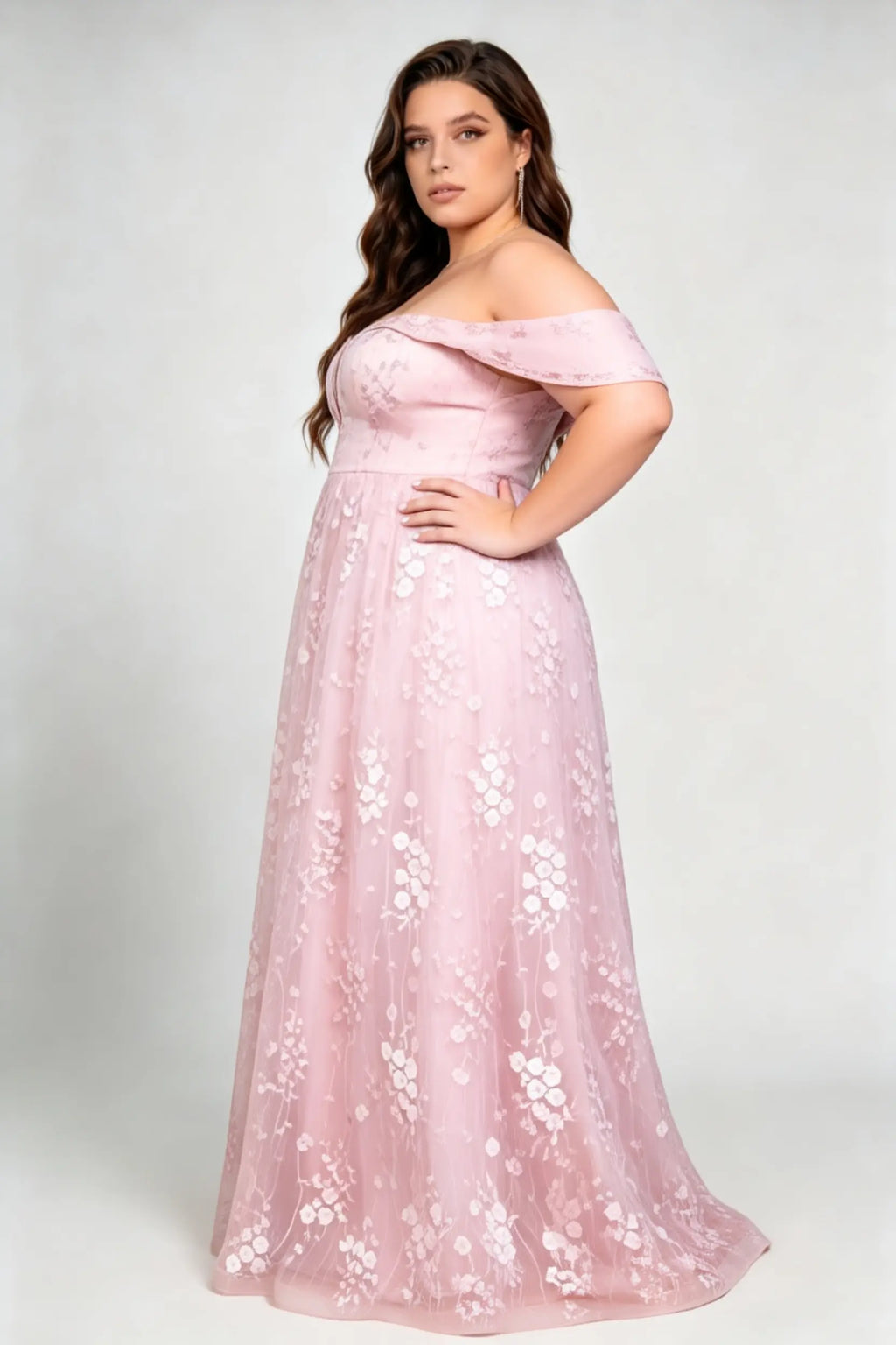 Plus Size Off The Shoulder Plunge V Neck 3D Floral Embroidery Tulle A Line Floor Length Bridesmaid Evening Dress